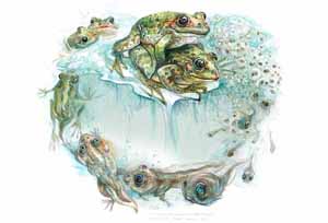 Vincent Roussillat Dessinateur