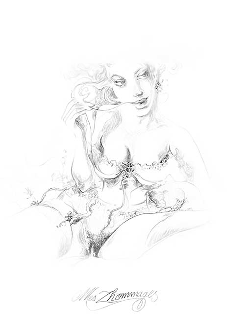 Vincent Roussillat dessinateur